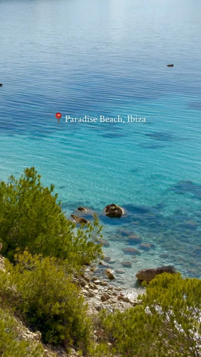 Far away from the turistic places we take you to this (very) secret beach during our 4x4 Safari tour 🐠

Save this post ✔️

Follow us : @intotheislandibizatours 🌴

#ibiza #ibz #intotheislandibiza #hiddenbeach #ibiza2025 #ibizaexcursions #ibizatours #ibizaexperience #secretbeach #hiddengems #paradise #secretibiza #ibizahike #ibizaparty #ibizanight #ibizaboat #ibizanightclub #ushuaiaibiza #ibizabeach #esvedra #calacomte #formentera #spain #summer #ibizaoutdooractivities #ibizalife #reel #viralreels #instaviral #viralvideos