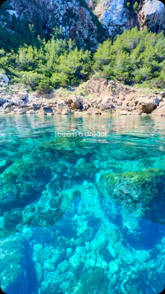 Ibiza is a dream.. don’t wake me up ✨

Save this post ✔️

Follow us : @intotheislandibizatours 🌴

The best spots in Ibiza 🌀

#ibiza #ibz #intotheislandibiza #hiddenbeach #ibiza2025 #ibizaexcursions #ibizatours #ibizaexperience #secretbeach #hiddengems #paradise #secretibiza #ibizahike #ibizaparty #ibizanight #ibizaboat #ibizanightclub #ushuaiaibiza #ibizabeach #esvedra #calacomte #formentera #spain #summer #ibizaoutdooractivities #ibizalife #reel #viralreels #instaviral #viralvideos